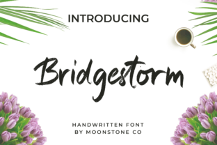 Bridgestorm: A Font That Adds Warmth and Personality to Your Brand