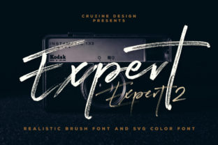 Expert Font: A Bold Choice for Digital Design